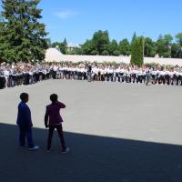 IMG_7920.jpg