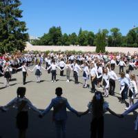 IMG_8016.jpg