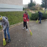 IMG_20181031_101418.jpg