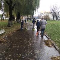 IMG_20181031_102206.jpg