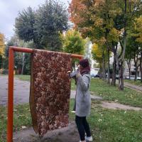 IMG-497e9dd7ba37a3ea38da08303d83f675-V.jpg